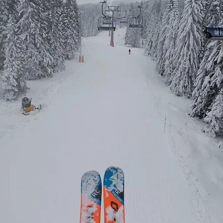 Mon Reve Nlux79 Копаоник